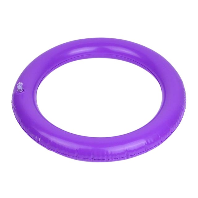 Exercise Ball Base / Holder - Flamin' Fitness